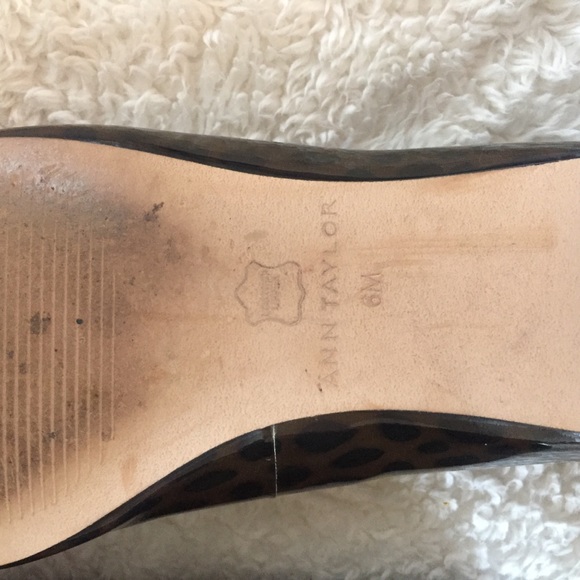 Ann Taylor Animal Print Flats - Picture 8 of 8